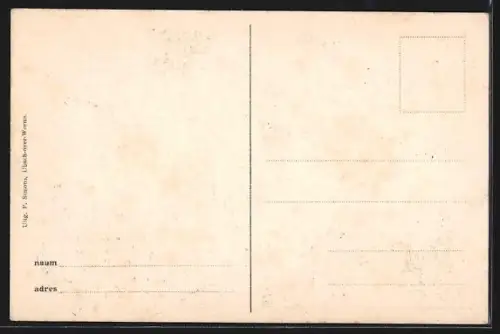 AK Born /L., Het Kasteel Born