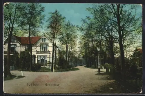 AK Bussum, Blick in die Strasse Gudelalaan