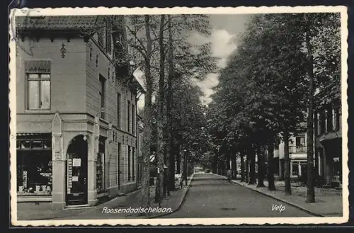 AK Velp, Roosendaalschelaan