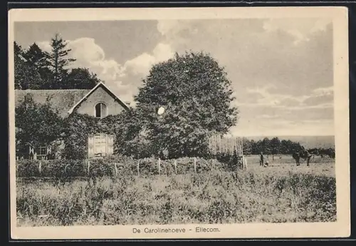 AK Ellecom, De Carolinehoeve