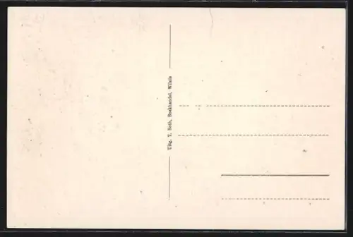 AK Wilnis, Driehuis, Strassenpartie mit Blick zur Kirche