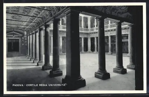 AK Padova, Cortile Regia Universita