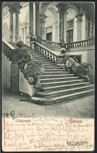 AK Genova, L`Universita