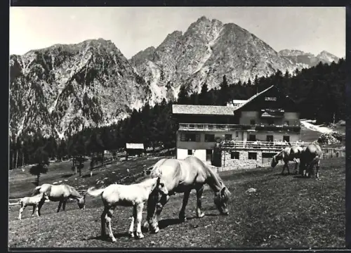 AK Avelengo, Albergo Rosa Alpina