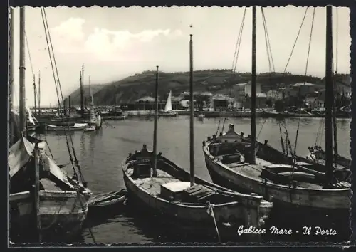 AK Gabicce Mare, Il Porto