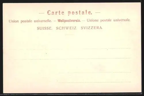 AK Castagnola, Panorama