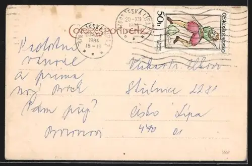 AK Meran, Ortsansicht mit Berglandschaft