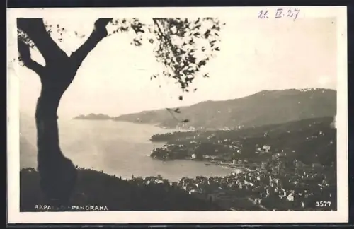 AK Rapallo, Panorama