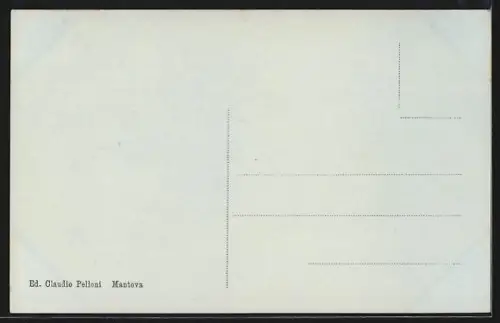 AK Mantova, Castelli di S. Giorgio, Sec. XIV, visto dall`Alto