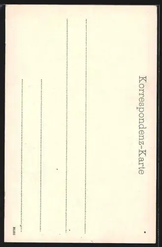 AK Meran, Laubengasse