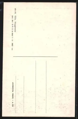 AK Molinella, Monumento ai Caduti in Guerra 1915/18