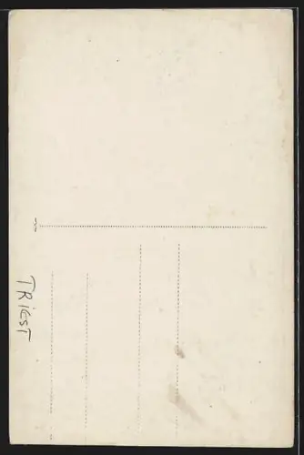 Foto-AK Triest, Strada con Passanti