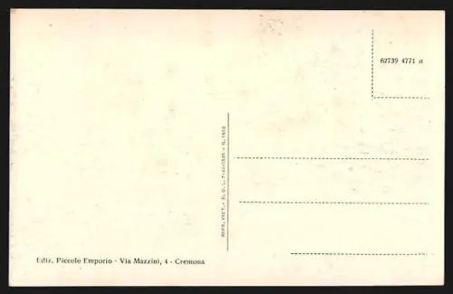 AK Cremona, Panorama