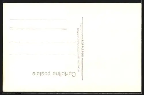 AK S. Vigilio Marebbe /Dolomiti, Veduta Generale