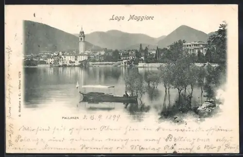 AK Pallanza /Lago Maggiore, Ortspanorama vom Wasser aus