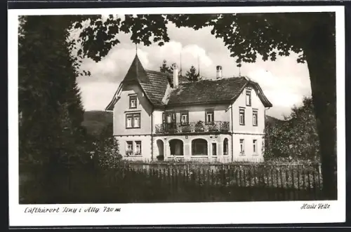 Künstler-AK Eugen Felle: Isny i. Allg., Durchblick auf Haus Felle