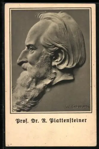 Künstler-AK Prof. Dr. R. Plattensteiner im Profil
