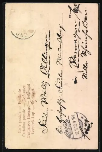 AK Kronprinzessin Luise von Sachsen im Porträt