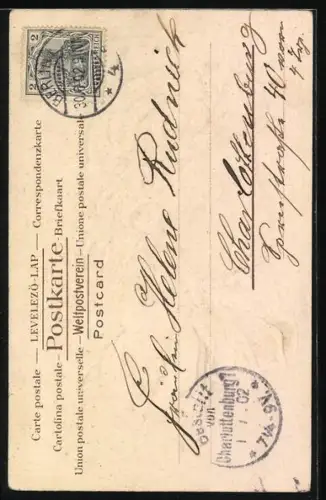 Lithographie Lockiger Knabe mit Zierkragen, Portrait