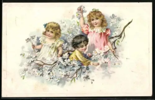 Klapp-AK Drei Kinder spielen auf einem Ast mit weissen Blüten