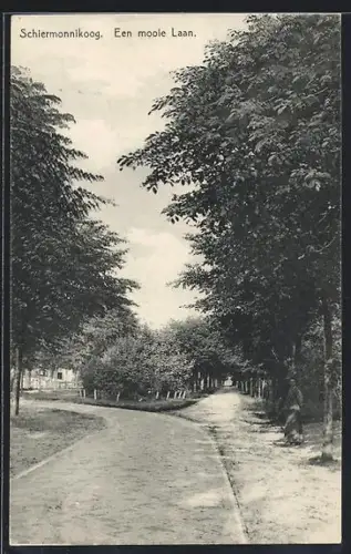 AK Schiermonnikoog, Een mooie laan, Strassenpartie