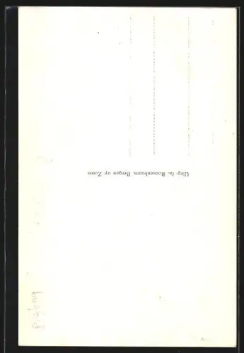 AK Bergen op Zoom, Hoogstraat