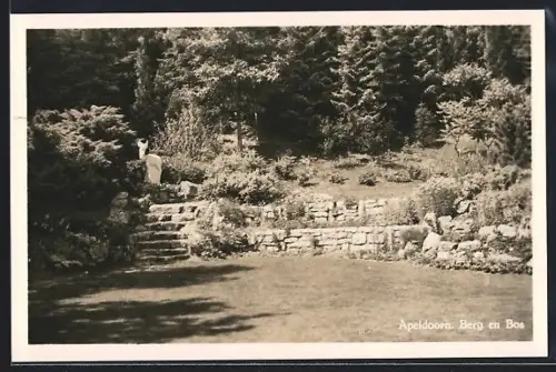 AK Apeldoorn, Berg en Bos