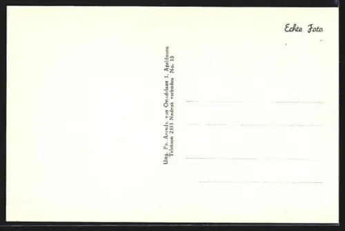 AK Apeldoorn, Berg en Bos