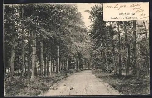 AK Bennekom, Bosch van Hockelom