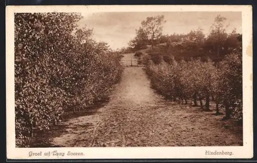 AK Laag Soeren, Hindenberg