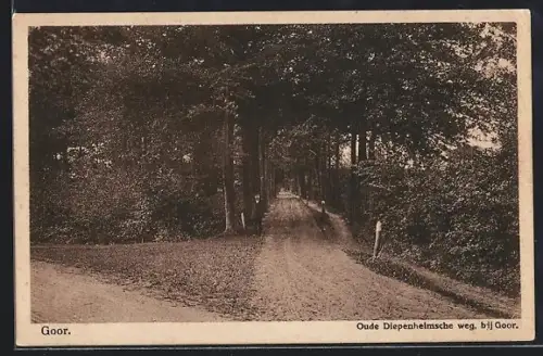 AK Goor, Oude Diepenheimsche weg bij Goor