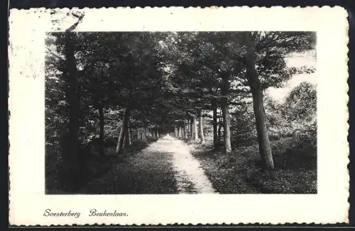 AK Soesterberg, Beukenlaan