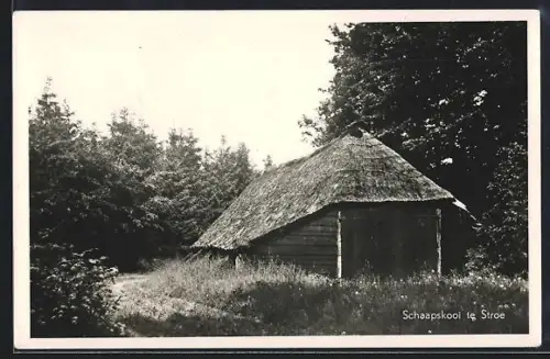 AK Stroe, Schaapskooi