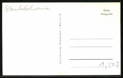 AK Musiker der Band Stachelschweine mit E-Gitarren