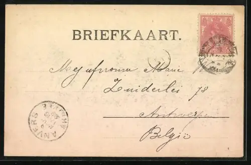 AK Breda, Valkenberg