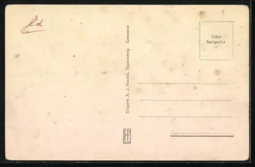 AK Geesteren, Herv. Pastorie, Blick auf das Pfarrhaus