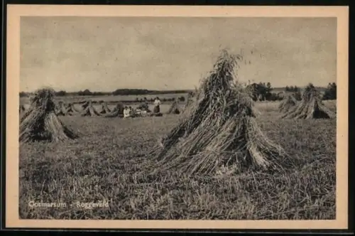 AK Ootmarsum, Roggeveld