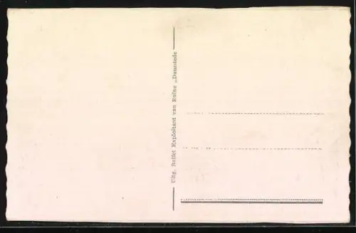 AK Wijk bij Duurstede, Vogelvlucht