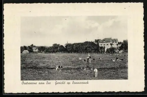 AK Oostvoorne aan Zee, Gezicht op Zonnevanck