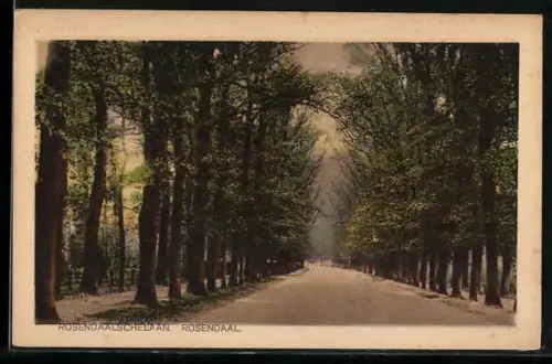 AK Rosendaal, Rosendaalschelaan