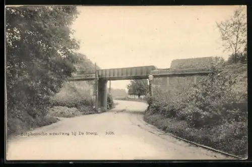 AK De Steeg, Zutphensche straatweg