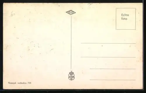 AK Nieuw- en St. Joosland, Panorama