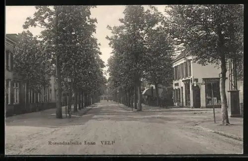 AK Velp, Rosendaalsche Laan