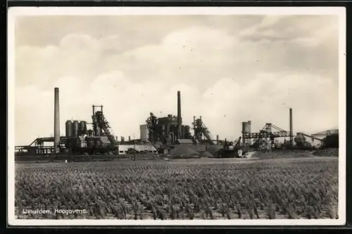 AK IJmuiden, Hoogovens