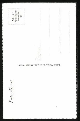 AK Musiker Peter Kraus spielt E-Gitarre