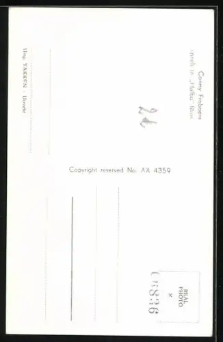 AK Musikerin Conny Froboess schaut seitlich