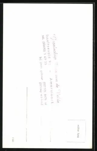 AK Musiker Nick Nichols lächelnd im Porträt