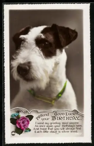 AK Terrier mit Halsband, Blume, Geburtstagsgruss