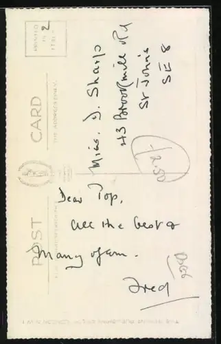 AK Terrier mit Halsband, Blume, Geburtstagsgruss