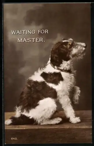 AK Waiting for Master, Terrier